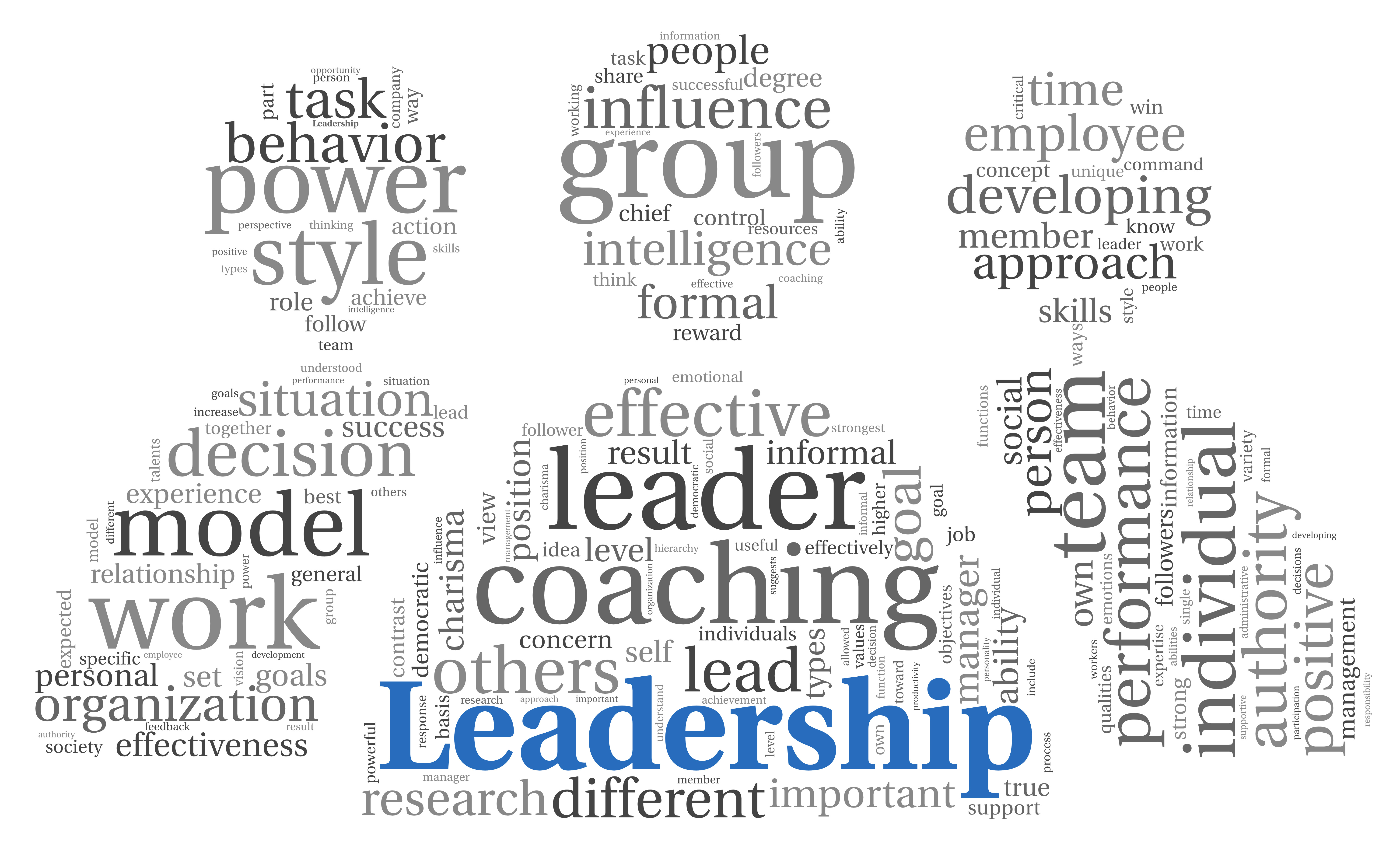 Leadership, Professional Development